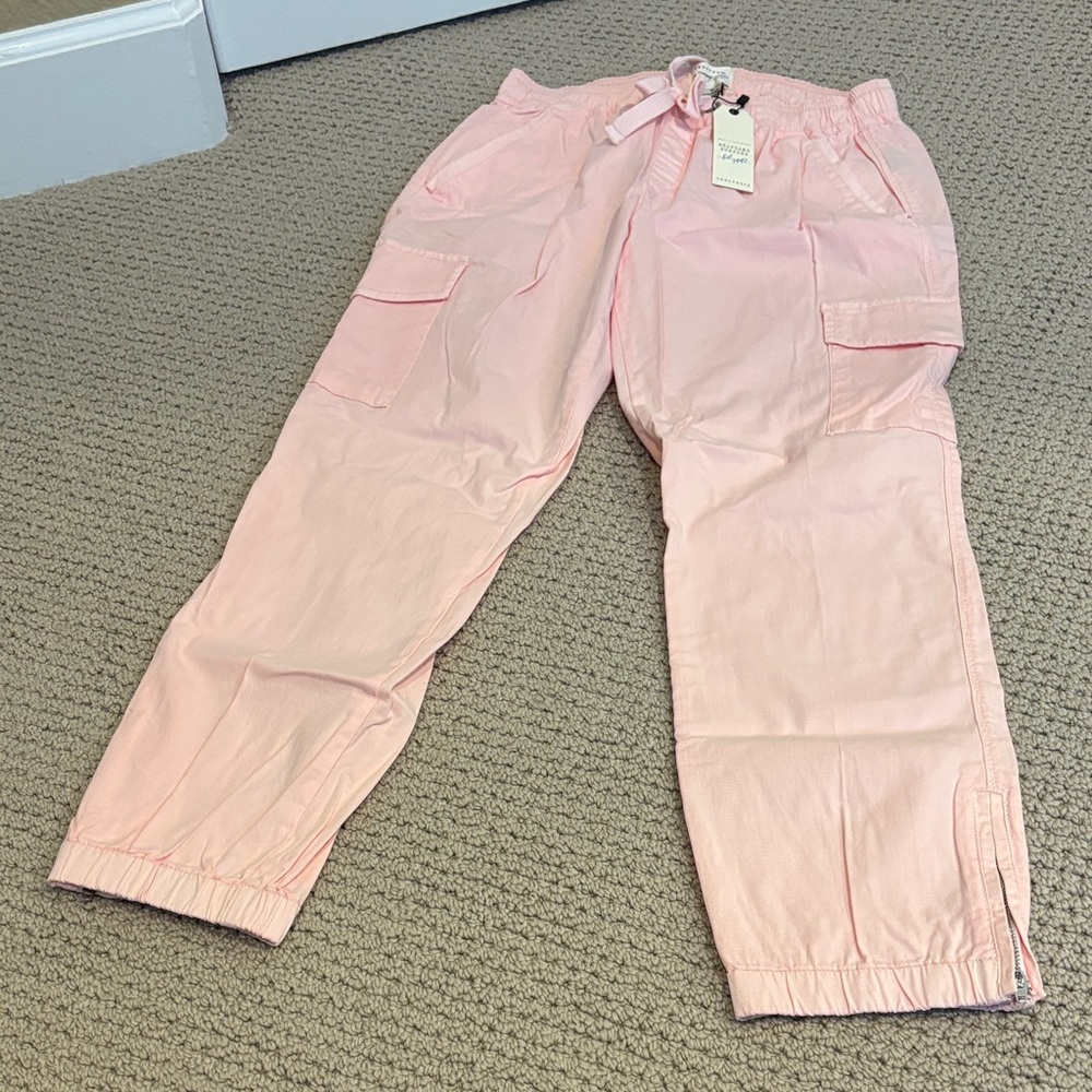 Sanctuary Light Pink Cargo Pants